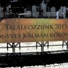 Koronázási Ünnepi Játékok - 2014 (Fotó: Gyöngyösi Tímea)